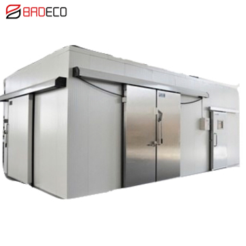 Eco-friendly Foam Price Fresh Cold Storage Room Freezer