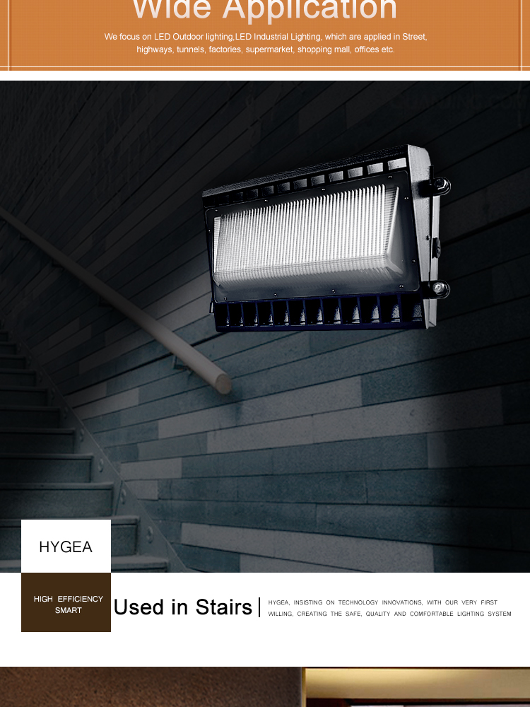 LED Wall Pack Light