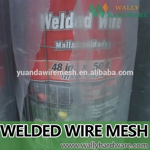 2016 hot sale China Supplier Hot-dipped Galvanized rust-proof Welded Wire Mesh