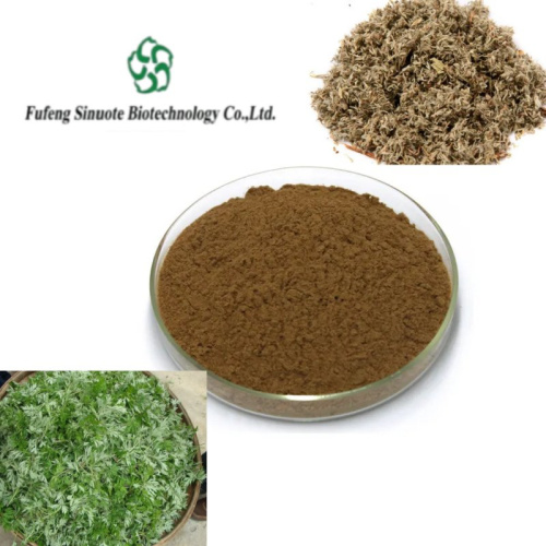 Pure Artemisiae Scopariae Extract for Herbal Remedies and Supplements