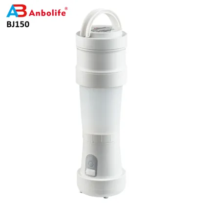 Portable professional electric citrus juicer orange blender mini juicer electric juicer