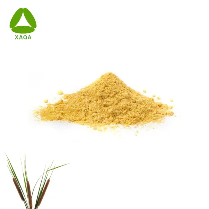 Pu Huang Chinese Cattail Pollen Powder