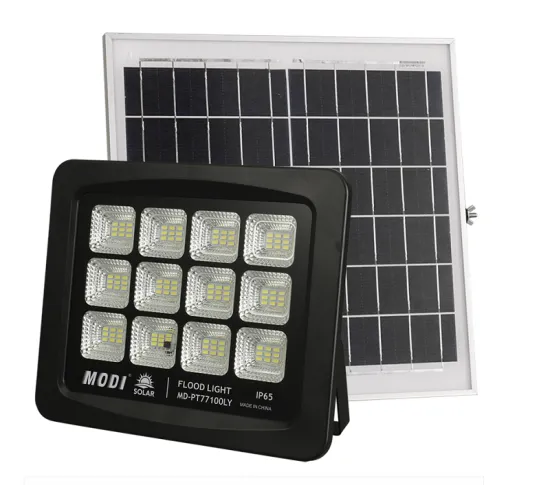 solar motion detector lights for garden
