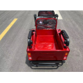 Tuk Passenger Tricycle 3 Wheel Petrol Motorcycle