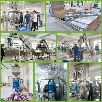 Low Price Automatic Pouch Packing Machine for Goya Tostones Garlic with Sea Salt Chips