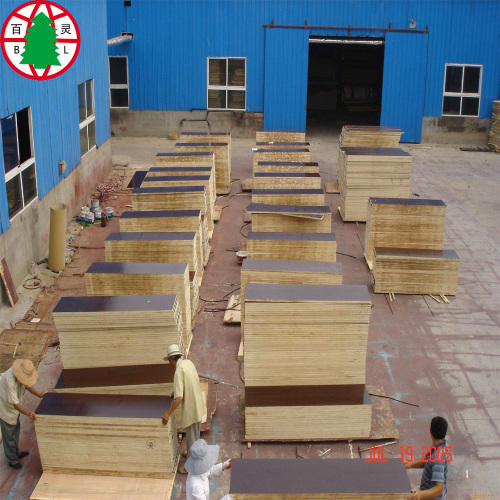 13 ply shuttering phim phải đối mặt ván ép