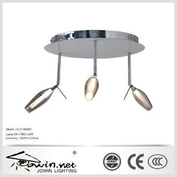Interior Home Ceiling Light