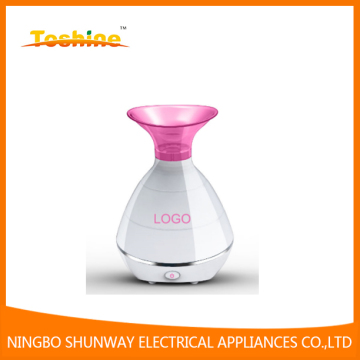 Vase Cold Facial Steamer