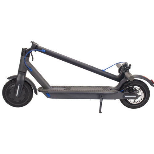 350w Powerful Motor Electric Adult Scooter