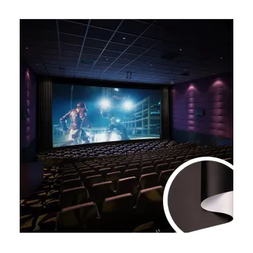 4.8/5m Projection Film: 0.33mm White/Black Projection Screen Film