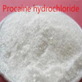 CAS 59-46-1 PROCAINE POUDRE