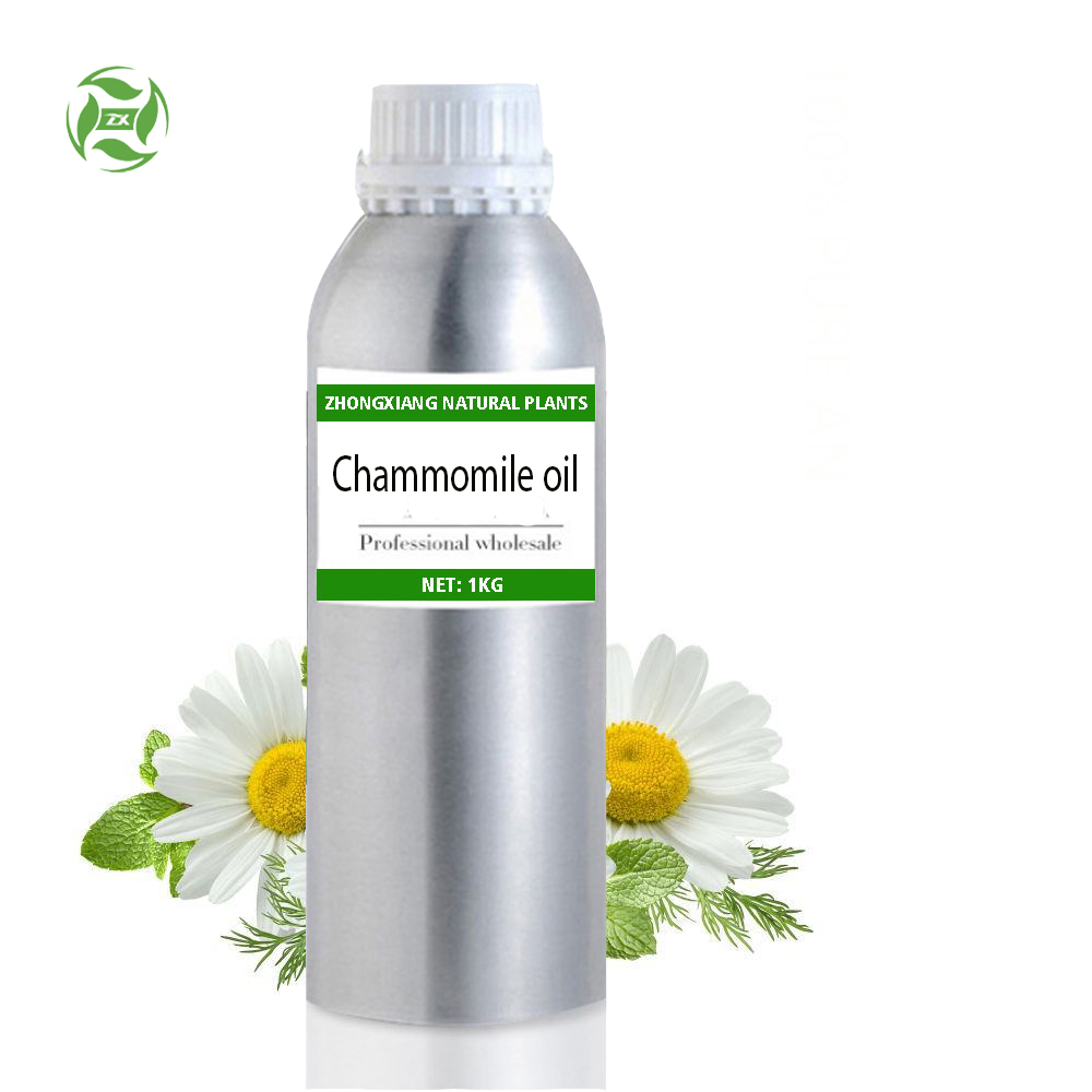 Private label 100% pure natural Roman Chamomile essential oil in bulk