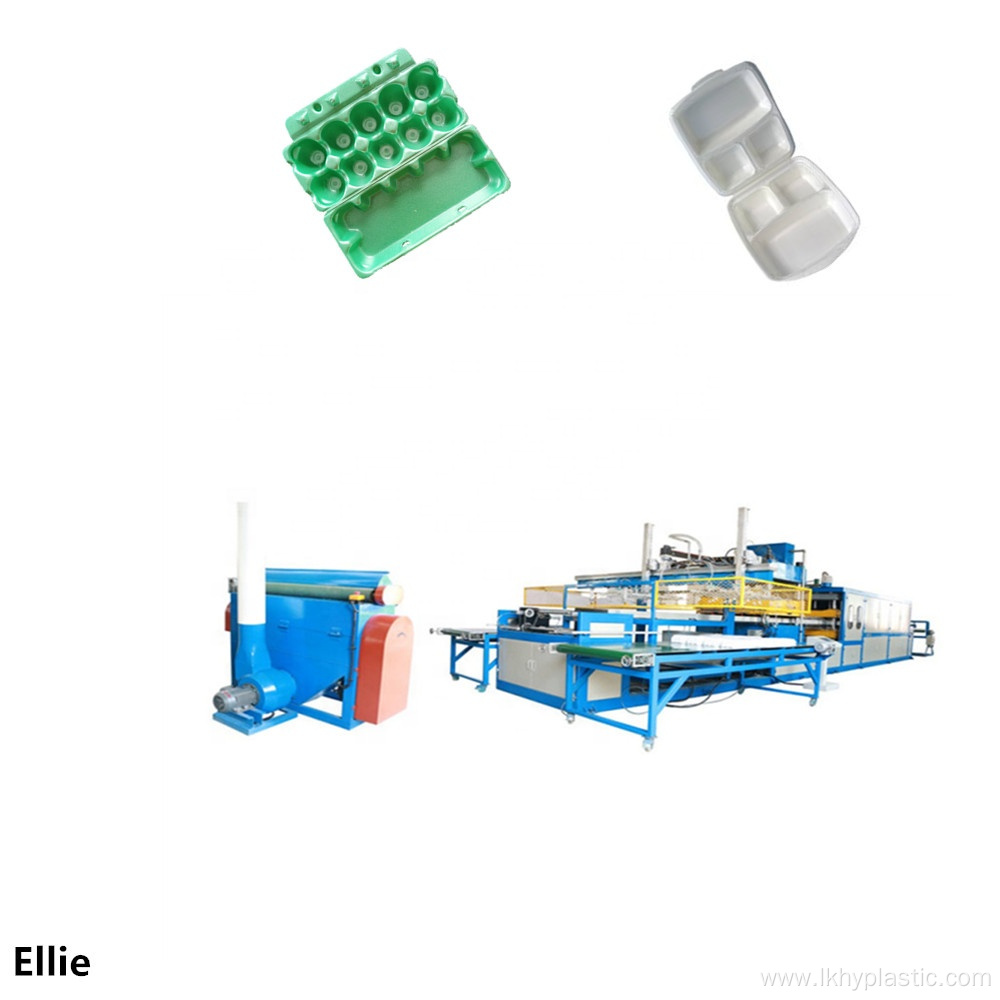 Take Away Food Container Making Machine