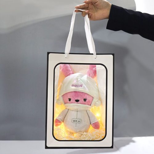 Custom Printing Stand Up Ziplock Clear Window Bag
