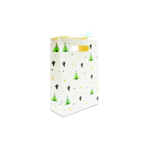 Simple pattern design paper bag