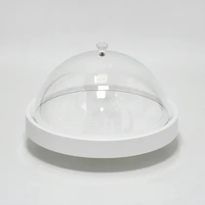 Nice Round Shape Cake Cover With Silver Plated Handle