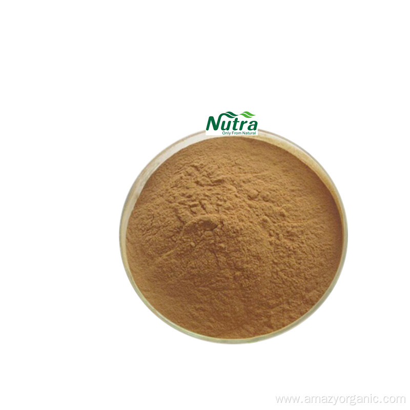 Organic Nettle Extract powder Nettle Root Extract