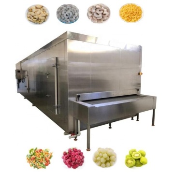 Ultra Continuous Frozen Meat IQF Blast Freezer Tunnel - 1 Ton Capacity
