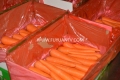 La zanahoria fresca está en temporada