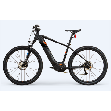 Customized Electric Mtb Bicycle