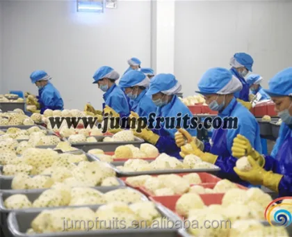 Quality Canned Food Fruit Vegetables Processing Machinery