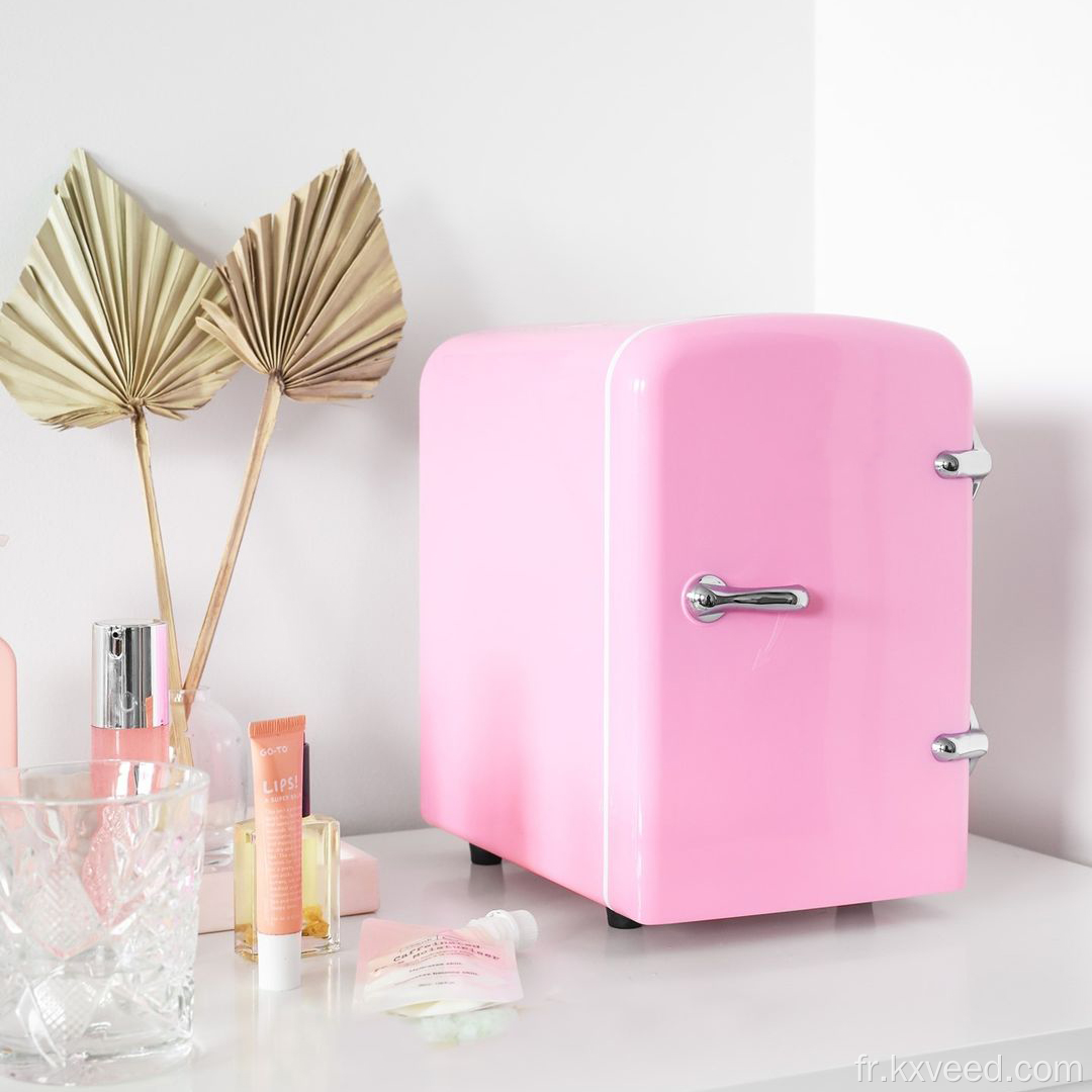Mini réfrigérateur personnalisé Fridges de maquillage coloré 4L