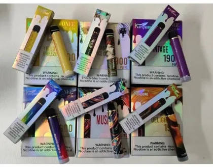 Electronic Cigarettes KANG VAPE