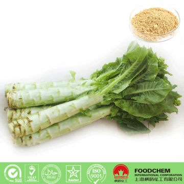 Natural Plant Lettuce Extract