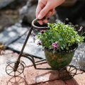 Bicycle iron flowerpot flower machine