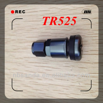 Auto parts factory tire valve tr525