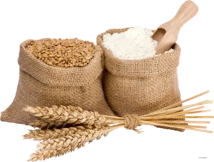 pure Wheat protein peptide