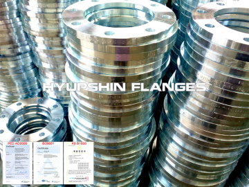 Flange PN10 PN16 Plate Slip on WNRF Blind