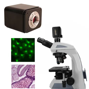 BestScope BHC4-4K8MPA: 4K C-mount HD+USB Output CMOS Microscope Camera for Trinocular Microscopes
