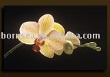 Orchid on giclee canvas