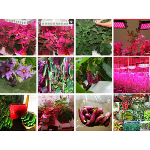 High Yield Full Spectrum Grow Lamp Hydroponic Plants