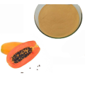 Papaya Powdered Extract Cosmetic Grade