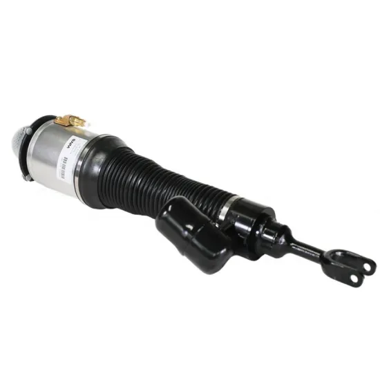 Front Suspension Strut for Bentley Continental 2003-2008: Shock Absorber & Air Shock Absorber
