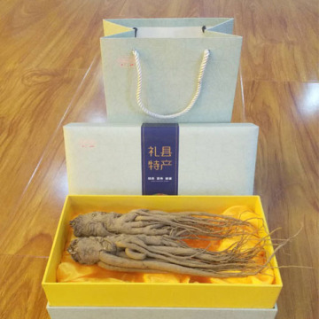 angelica extract powder tea