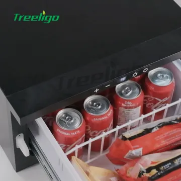 12V/24V DC Portable Refrigerator for Trucks and RVs