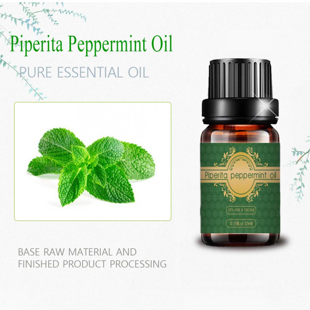 ขายส่งน้ำมัน Piperita Peppermint สำหรับการดูแลผิว