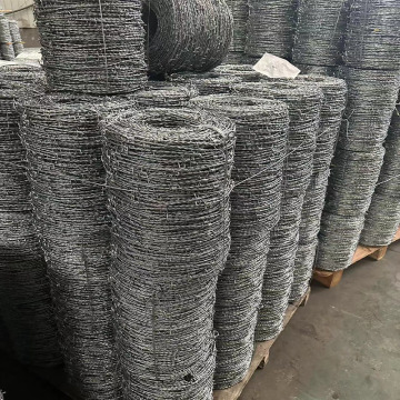 1.6 mm Hot Dipped Galvanized Barbed Wire Coil 500m for Construction Fence