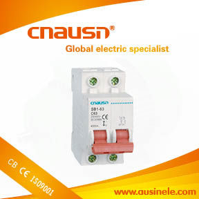 SB1-63( dz47-63 ) 2 poles number and hydraulic-magnetic technology poles number type circuit breakers