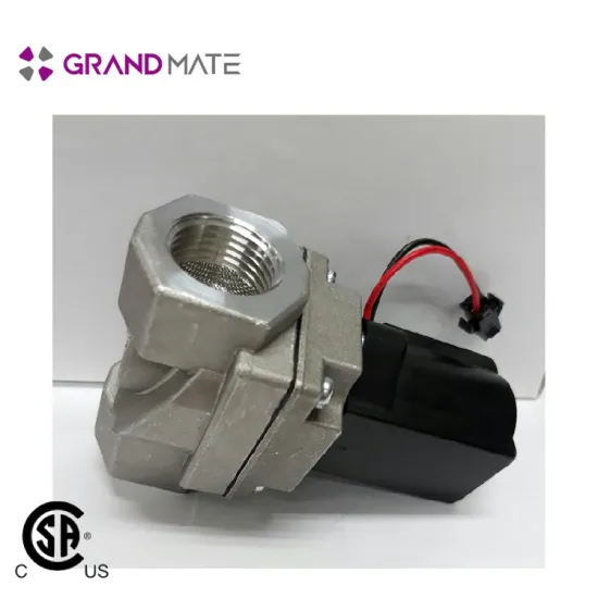 gas detector with shut off valve