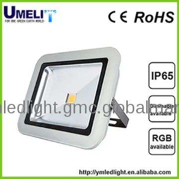 metal halide flood light