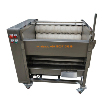 High-Efficiency Automatic Carrots Potato Washing, Peeling & Cassava Cleaning Machine (1000kg/H)