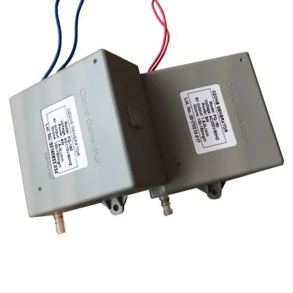 Portable Ozonizer Hospital Medical Apparatus and Instruments Sterilizer Ozone Generator Cell 50~100mg/hr