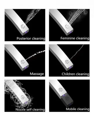 Smart Floor-Stand WC Ceramic Bathroom Toilet