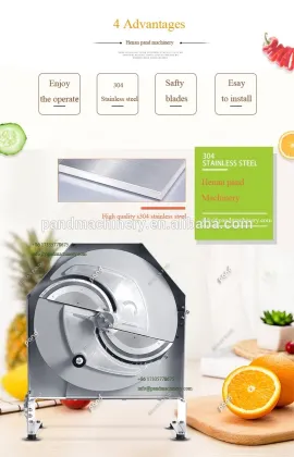 Fruit and Vegetable Cutter: Onion Dicer and Manual Veggie Slicer