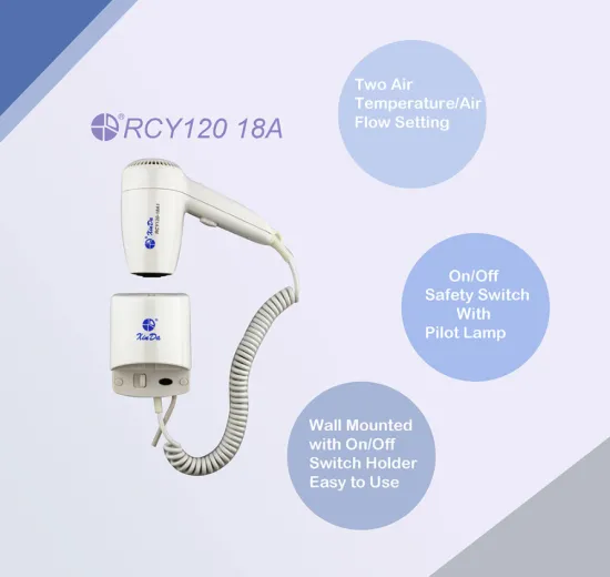 Wall-mounted hair dryer for salon