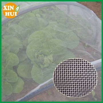 pe weaving lightweight plant insect net